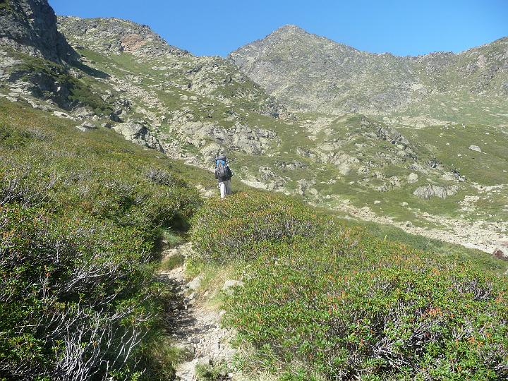 Fourcat_TER_2009 004.jpg - Ca grimpe sans arrêt